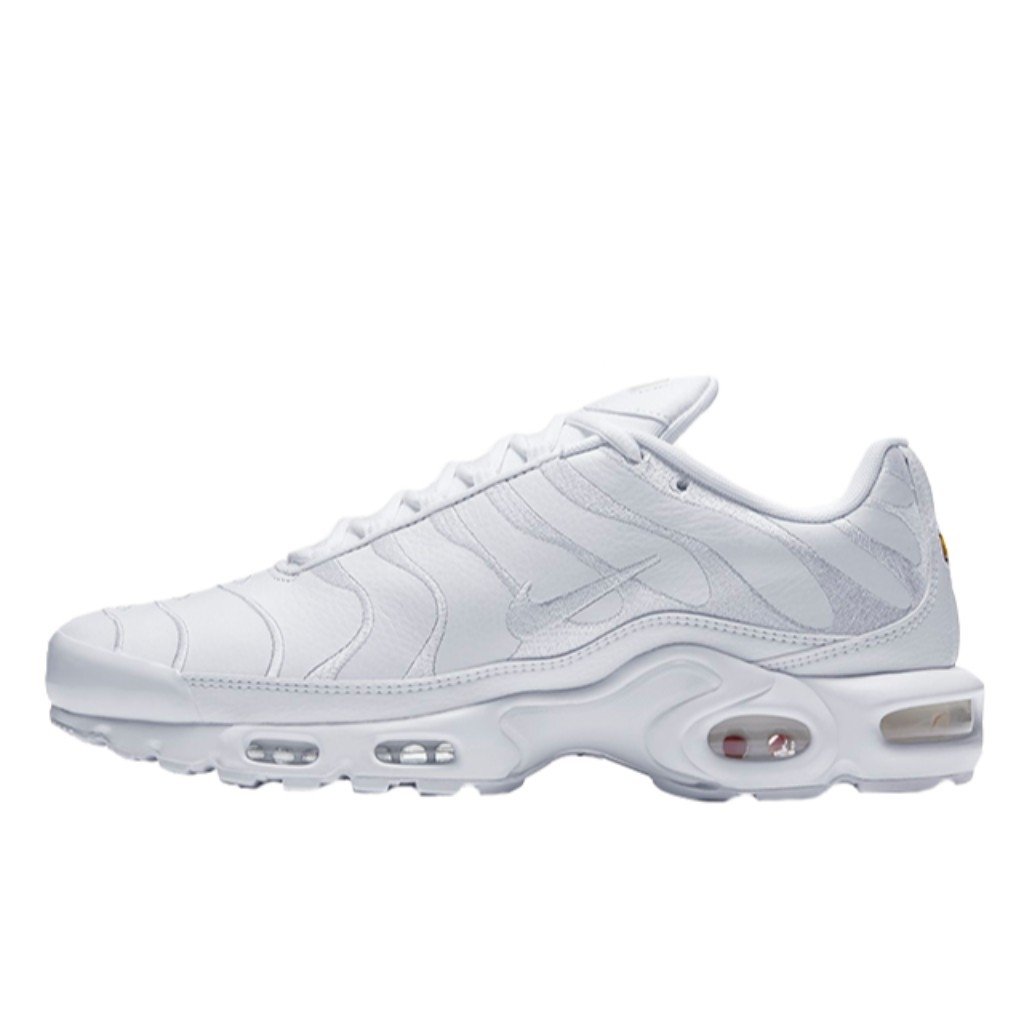 tenis nike tn air max
