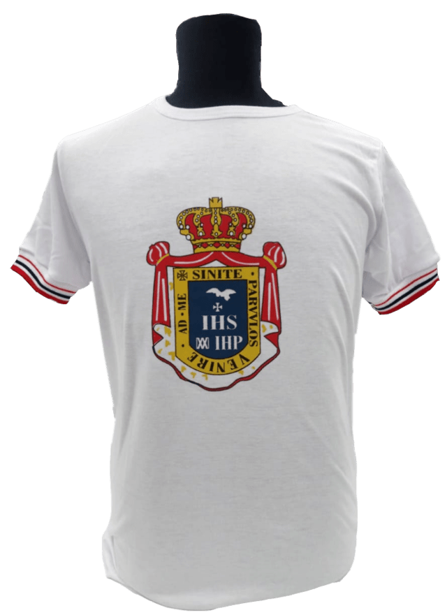 remera de gimnasia