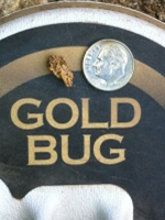Bobina 5 polegadas do Detector de Metais Fisher Gold Bug