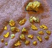 Pepitas de ouro - Detector de Metais Fisher Gold Bug