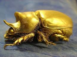 Besouro de ouro - Detector de Metais Fisher Gold Bug