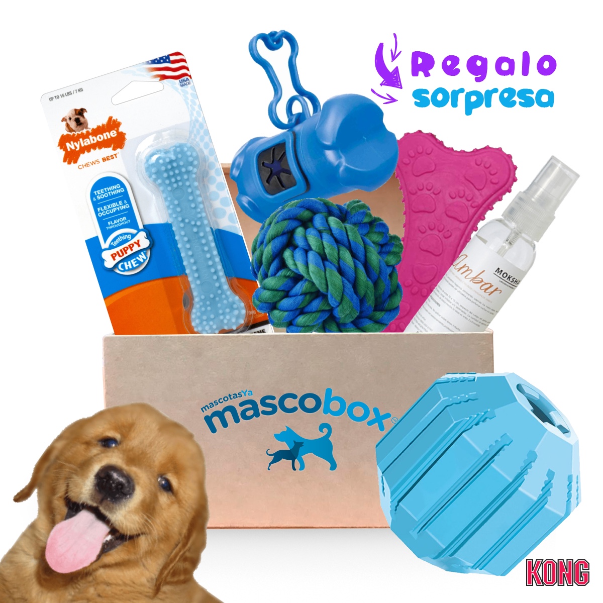 Mascobox - El regalo ideal para tu mascota en su cumpleaños