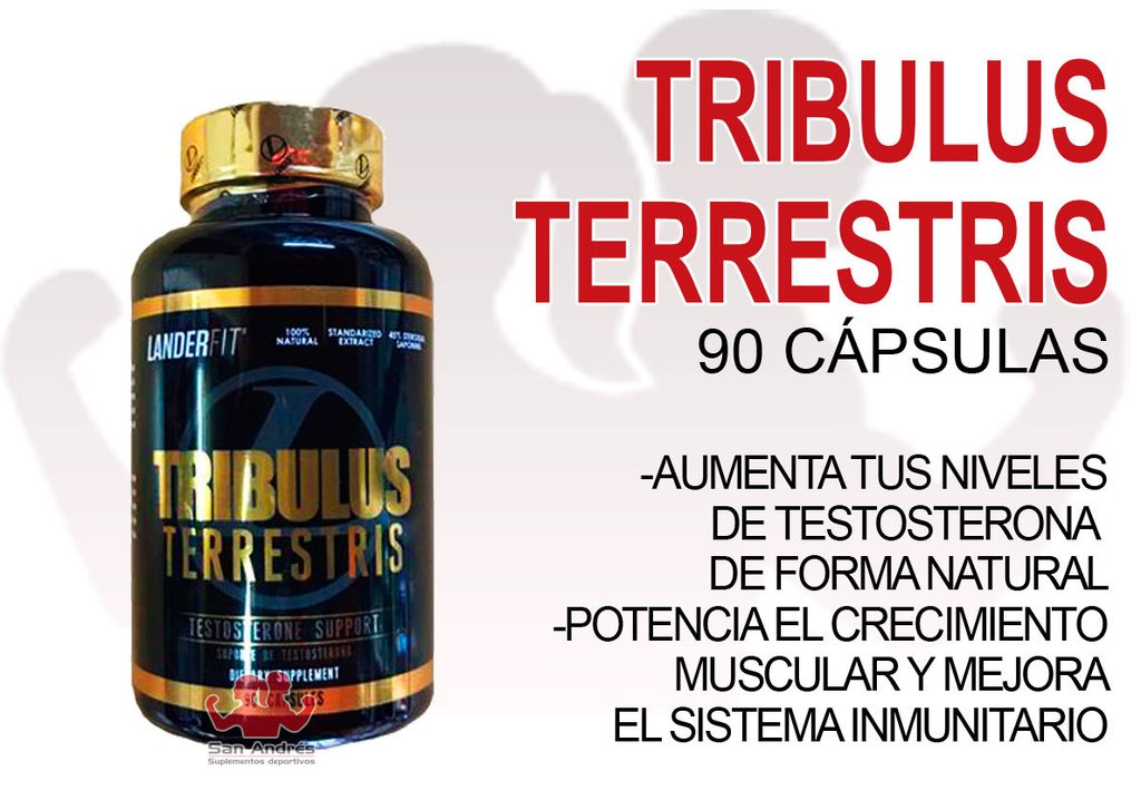 Tribulus Terrestris (90 cap) - LANDERFIT