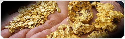 Muito ouro encontrado com o detector da White PULSESCAN TDI
