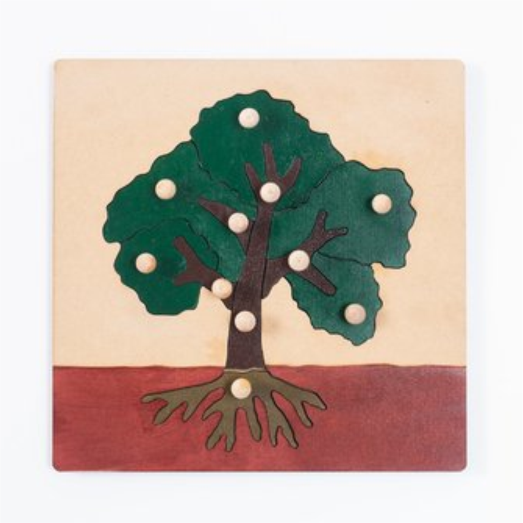 montessori comprar