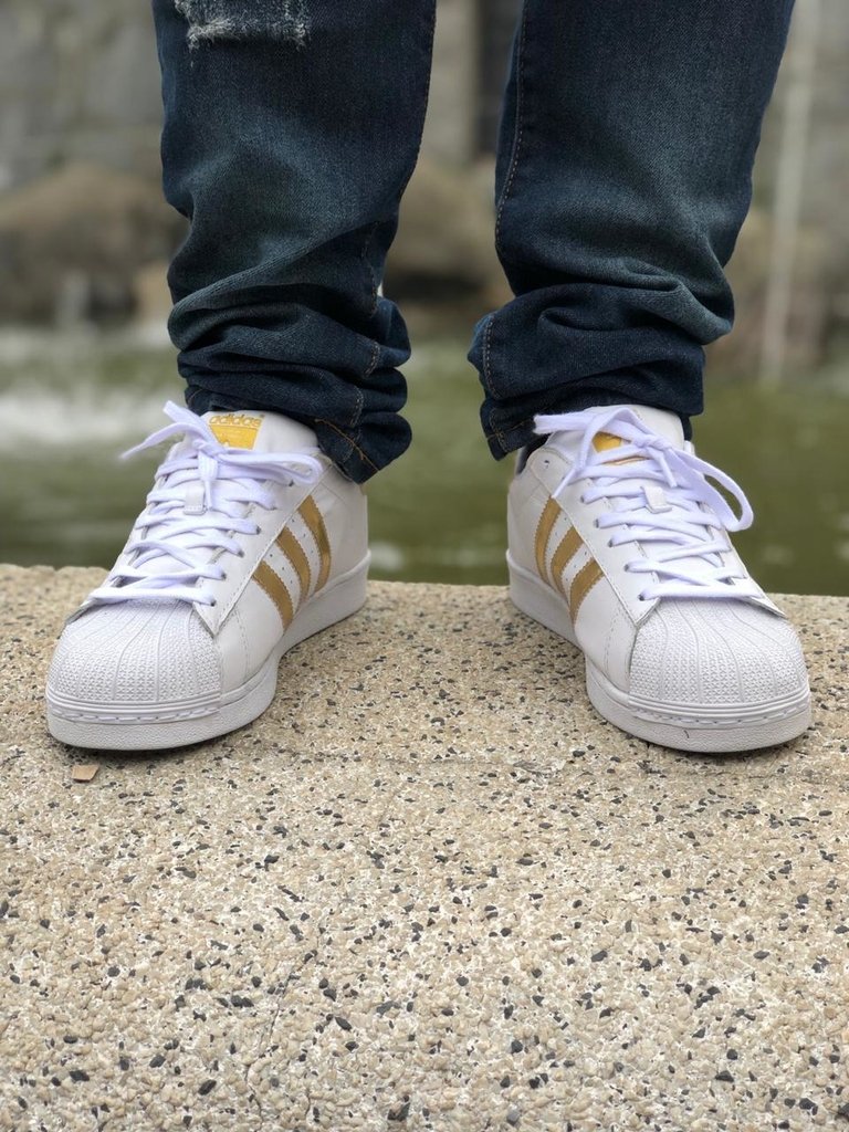 tenis adidas superstar dourado