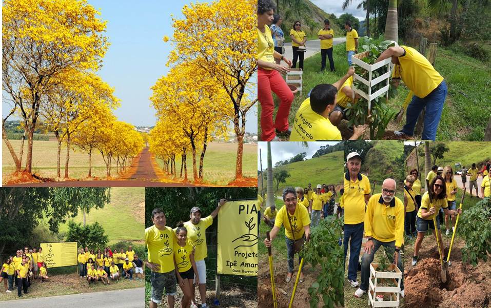 Projeto De Conciencia Ambiental Ipe Amarelo Pode Colocar Duas Barras No Mapa Turistico Do Estado Do Rio De Janeiro Projeto De Conciencia Ambiental Ipe Amarelo Pode Colocar Duas Barras No Mapa Turistico Do Estado Do Rio De Janeiro