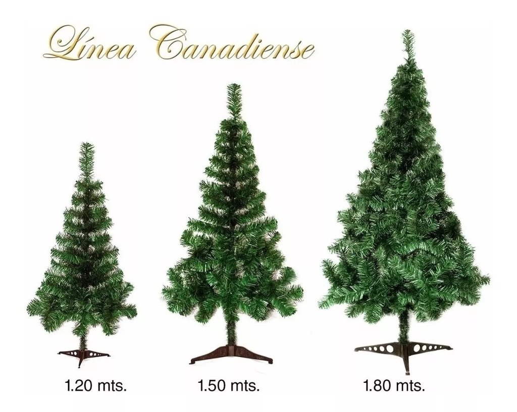 Variedad En Linea De Pinos Navidenos Consultanos Medidas Y Costos